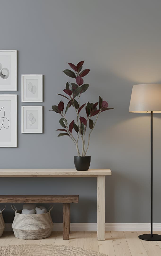 Aura Elevated Ficus Standard