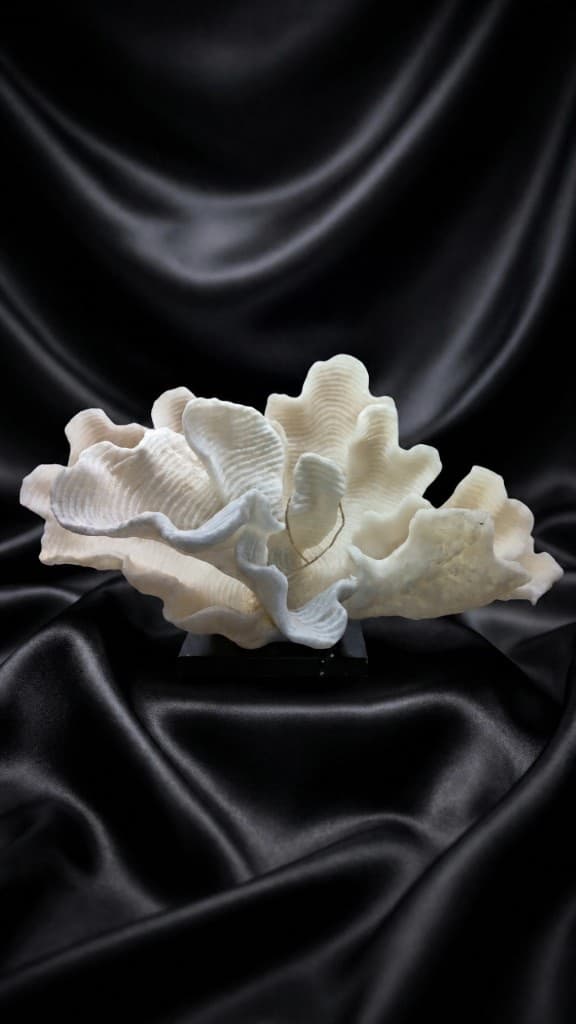 Coral Fan Sculpture