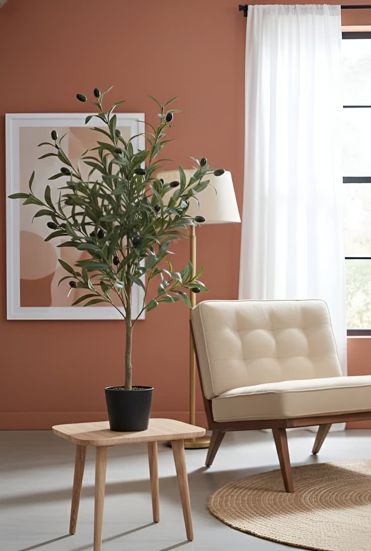The "Midnight Emerald" Rubber Tree