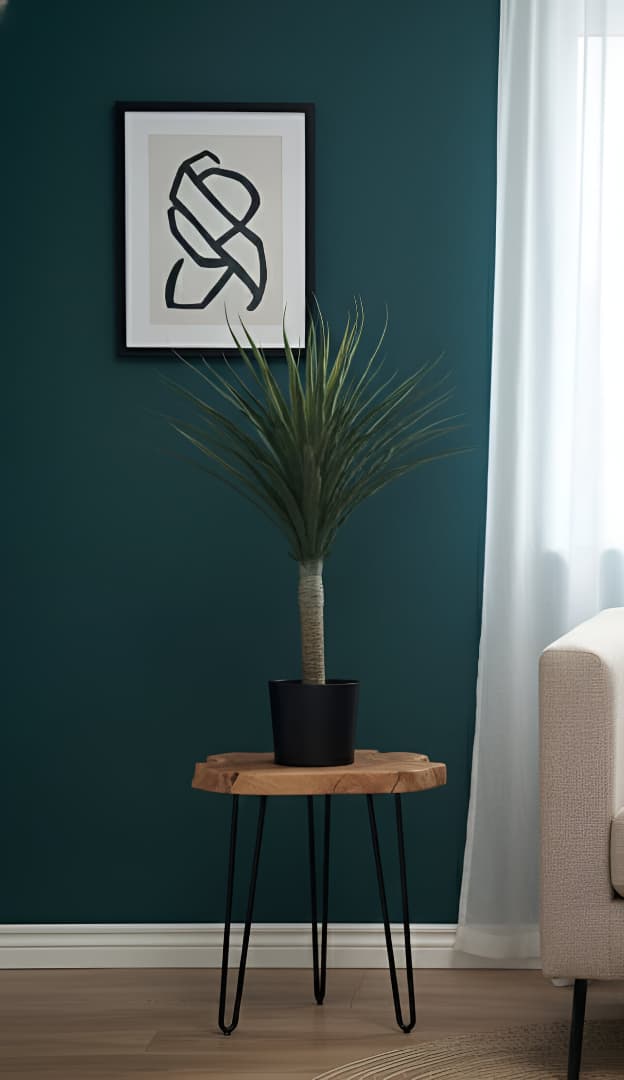 Veda Rustic Ficus Elastica